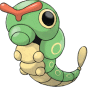 Caterpie