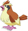 Pidgey