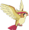 Pidgeot